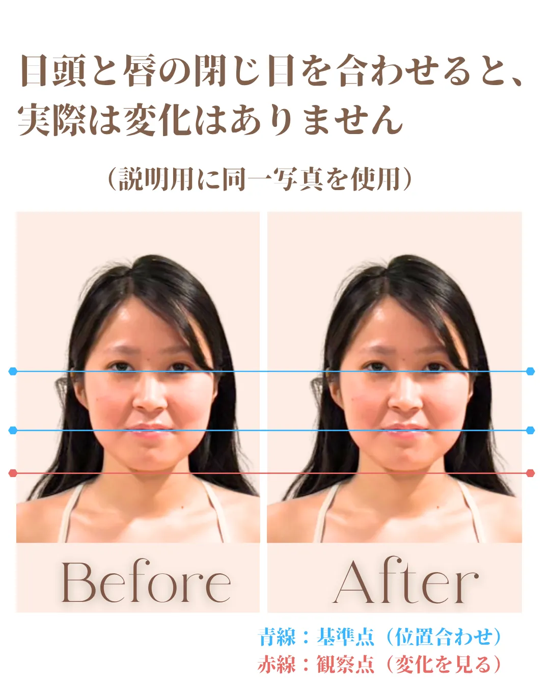 青線の基準点と赤線の観察点を使った位置合わせの説明画像